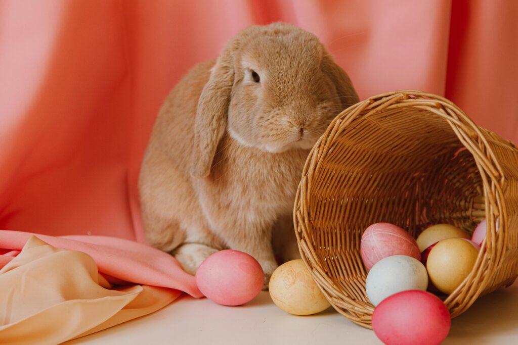 Cute brown bunny with colorful Easter eggs in a basket on a pastel backdrop, perfect for holiday themes.